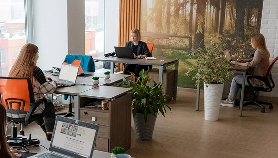 AMS Software team members working together in the office