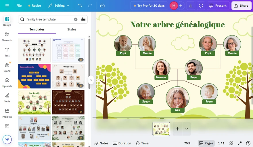 Créer un arbre généalogique avec un modèle de Canva