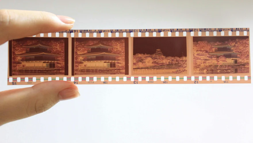 Negatives in a film strip