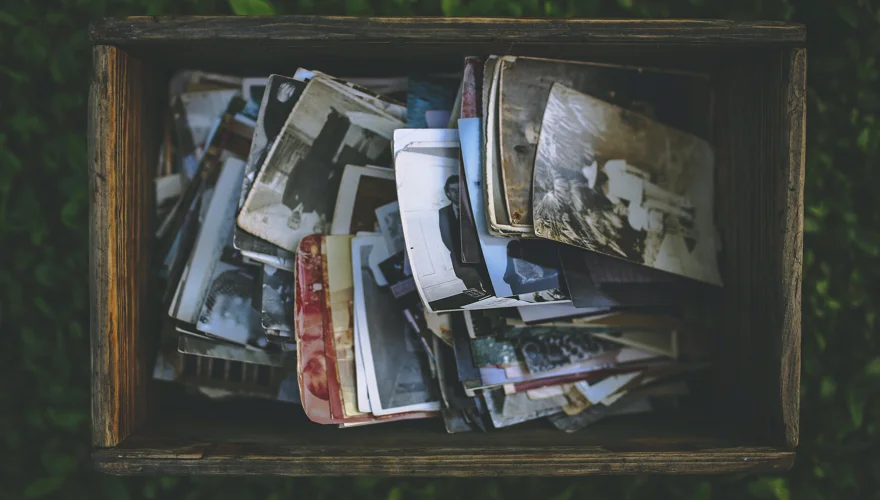 Find out how you can save water-damaged photos